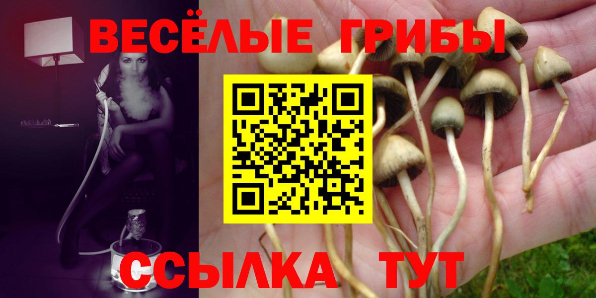 Псилоцибиновые грибы Psilocybine cubensis  Псилоцибиновые грибы Magic Shrooms  Вход с VPN  Белая Калитва 